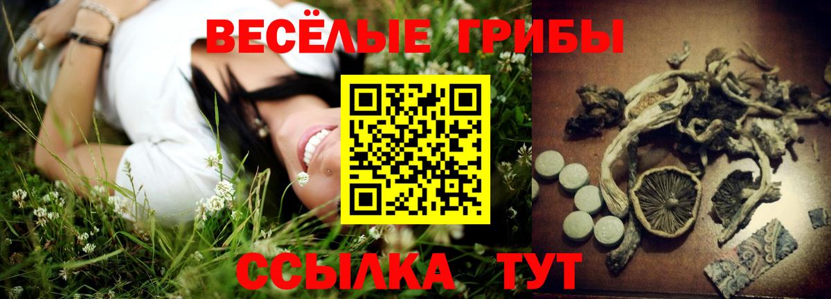 Псилоцибиновые грибы MAGIC MUSHROOMS  Скопин 