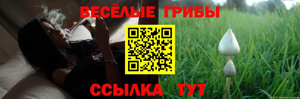 Галлюциногенные грибы MAGIC MUSHROOMS  Вход с VPN  Скопин 